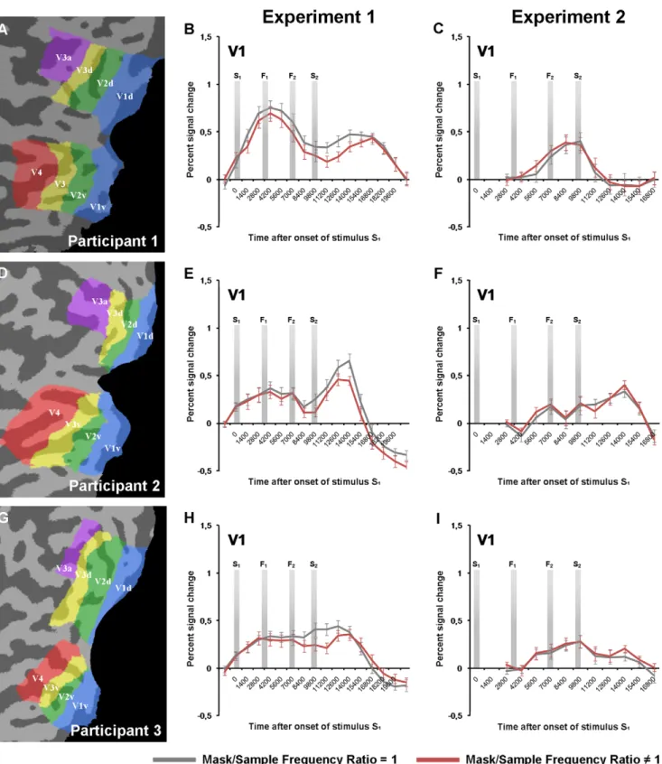 Figure 3. Event-related averages, V1. A, D, G) Early visual areas investigated in the fMRI analysis