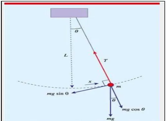 Figure 1 is a schematic diagram of a simple pendulum showing forces acting on the bob: the tension T in the rod  and the gravitational force ��
