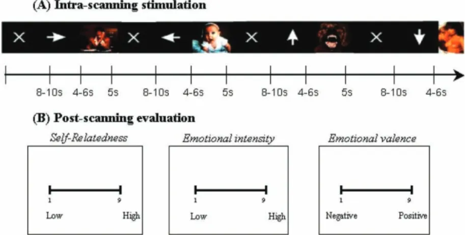Figure 1. Schematic presentation of fMRI paradigm for IAPS picture viewing and post-scanning picture evaluation