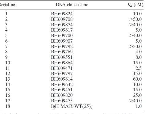 TABLE 1. SATB1-binding afﬁnities of various HIV-1integration sequencesa