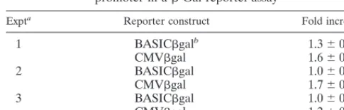 TABLE 2. SM protein does not transactivate the CMVpromoter in a �-Gal reporter assay