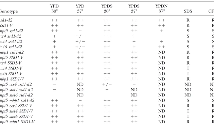 TABLE 4