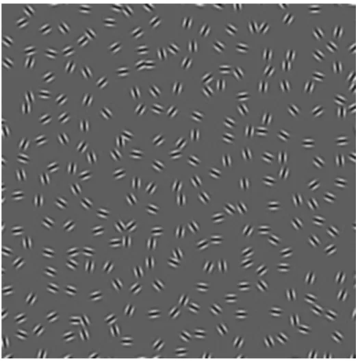 Figure 2-1: The perception of contours (from Field et al. [3]). The contour composed of aligned edges is easily perceived among a field of distractors.