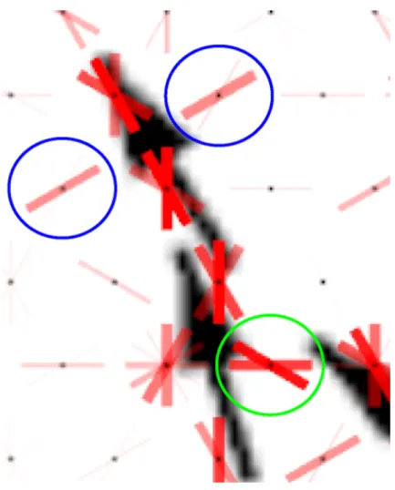 Figure 3-6: Closeup of neural response to arrowheads. The black dots indicate the center of hypercolumns, red bars indicate the excitation of the orientation sensitive columns within the hypercolumn.