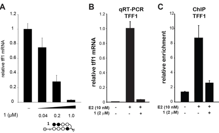 Figure 3.6 Quantitative RT-PCR analysis of Tff1 mRNA reduction after treatment with 1 for 96h is dose responsive