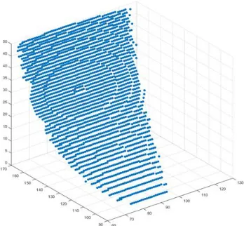 Figure 4.5 The instantaneous contact area (The blue area corresponding to the contact area between AFM tip and sample surface)
