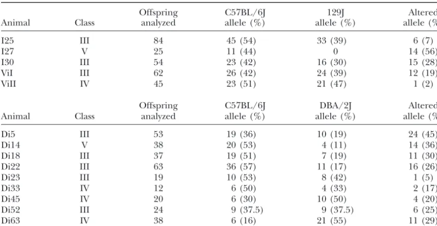 Figure 3.—Conﬁrmation of mosaicism in somatic tissuefrom a class III animal. Each lane represents a PCR using asingle genome equivalent of tail DNA from a class III animal(I25, Figure 2a, lane 2; Table 1)