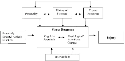 Figure 1. Williams &amp; Andersen Stress-Injury Model. 
