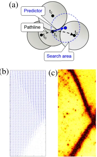 FIG. 2. (a) Sketch for particle matching in PTV using a predictor from previ-ous displacement