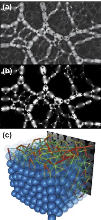 FIG. 3. (a) Image of force chains obtained using darkﬁeld photoelastic mea-surements in the setup described in Ref
