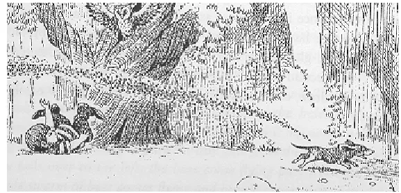 Figure 1 Selected segment of the ‘frog story’.  
