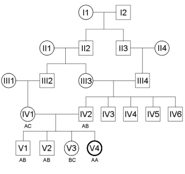 Figure 1: The family extended over four generations, V4 represents the patientseeking a donor, with siblings V1-V3 and parents IV1 and IV2 having alreadybeen typed and found not to match.