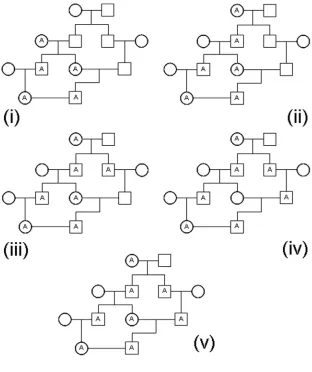 Figure 2: Illustrations of the ways in which the allele A could have been passeddown from a single founder in the pedigree.