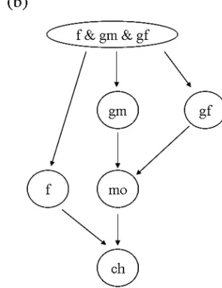 Figure 3: (a) Bayesian network for a simple example, assuming Hardy-Weinbergequilibrium; (b) Bayesian network to take into account deviations from Hardy-Weinberg equilibrium.
