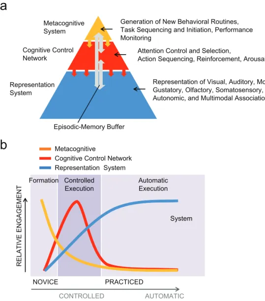 Fig. 1.  Hierarchical arrangement and major functions of the metacognitive system, the cognitive control network,  and the representation system (a), all of which are linked by an episodic-memory buffer