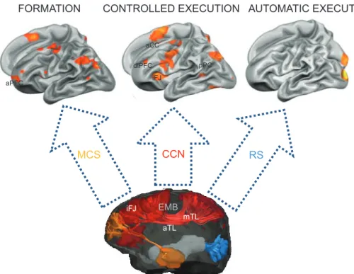 Fig. 2. Key brain areas and internal connection pathways of the three learning systems in the brain  (some areas and pathways not depicted)