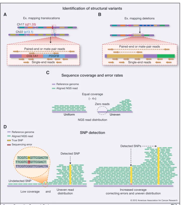 Figure 2. Key NGS principles. A and B, identiﬁcation of structural variants: Longer (paired-end or mate-pair) sequencing reads are more adept at mapping large structural variations (e.g., translocations and deletions) because they provide added information