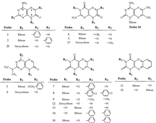 Table 5.1 lists fluorescence properties for the compounds  shown in the top portion of Figure  5.1