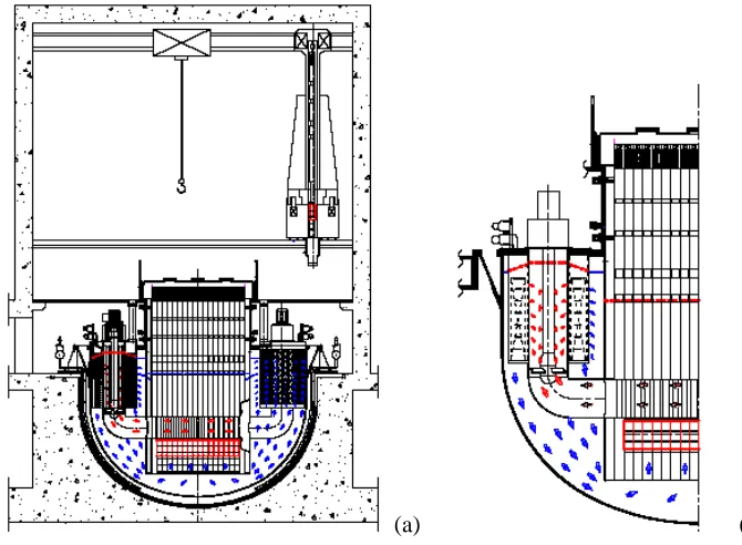 Figure 2. ELSY primary system arrangement (a) and a detail of the lead flow path (b) 