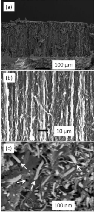 Fig. 6. The ZIF-8 crystal (Fig. 6a) shows characteristic infrared 