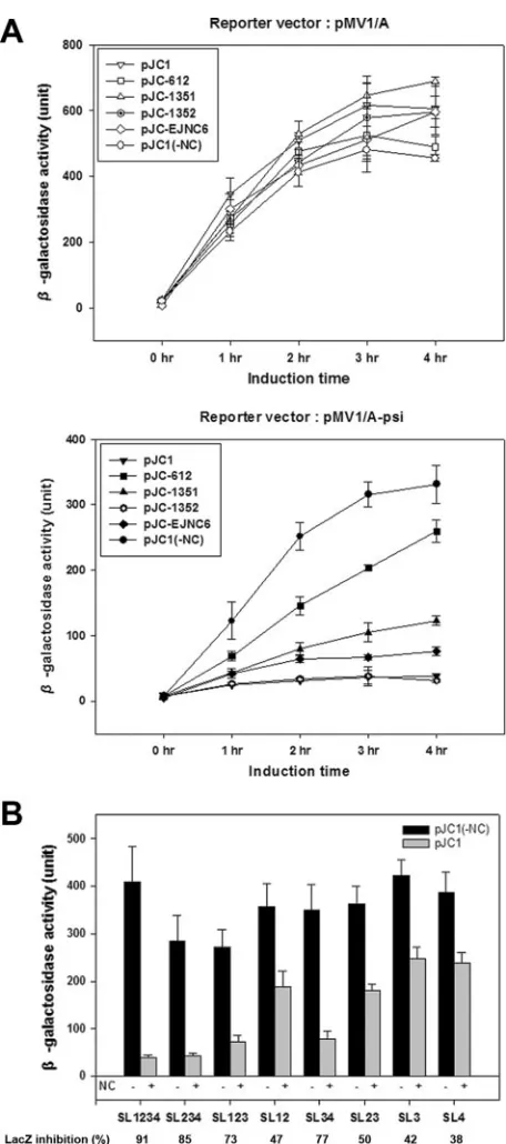 FIG. 4. Effect of various SELEX RNAs on NC binding in thecell-based assay. The SELEX RNA aptamers described in the text