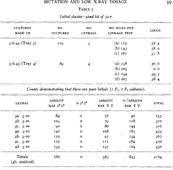 TABLE 5 