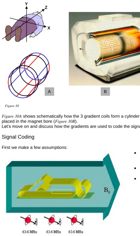 Figure 30A shows schematically how the 3 gradient coils form a cylinder. This cylinder is then  placed in the magnet bore (Figure 30B)