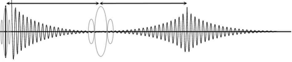 Figure 51 shows how this works. The spin  system is mirrored around the Y-axis. Note that  the rotation direction in the X-Y plane does not  change