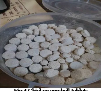 Fig 4.Chicken eggshell tablets 