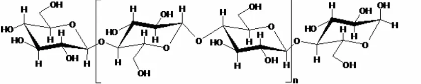 Figure 2.1 Cellulose polymer chain  