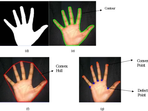 Figure. 4 (a) Original image (b) Gray scale (c) Blur image (d) Threshold image (e) Contour (f) Convex Hull (g) Convexity defect  