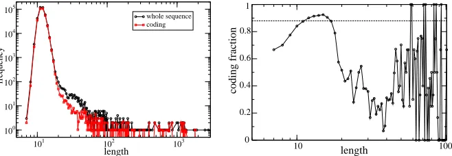 Fig. 2. Fraction of words extracted from coding regions (Escherichia coli). Thisdictionaries were extracted giving LZ77 the possibility of ﬁnding repeated sequencesin the whole string