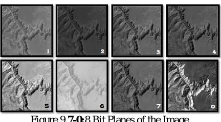 Figure 9 7-0:8 Bit Planes of the Image (The number identifies the bit plane)  