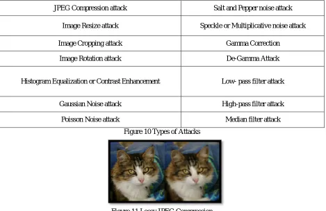 Figure 10 Types of Attacks 