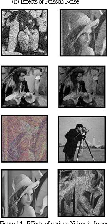 Figure 14   Effects of various Noises in Images 