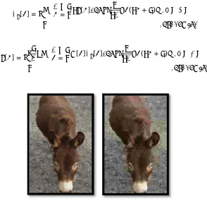 Figure 4 Images before DCT and after DCT 
