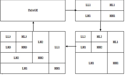 Figure 5 DWT Process  