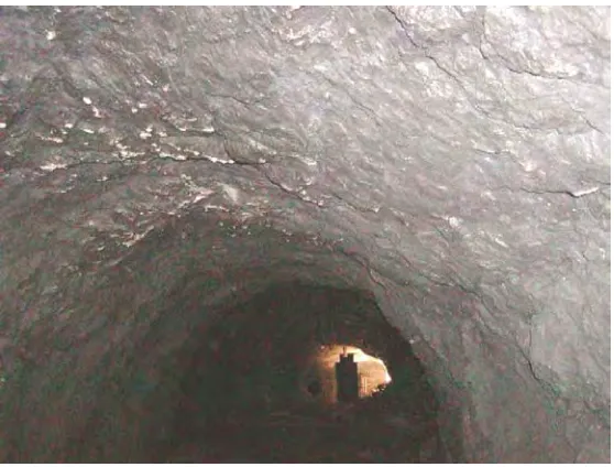 Fig. 2 Surface roughness of the mine