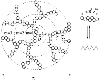 FIG. 1. Model of a single dendrimer in the network.