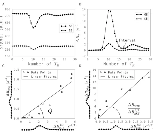 Figure 7.1: Illustration of the calculation of Q and VSI. (A) The dynamic signal measured by a gradient echo (GE) and a spin echo (SE) during bolus passage