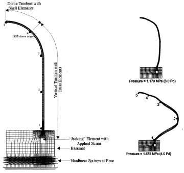 Figure 2. Defonned Shapes, Displaceanents magnified by 50 