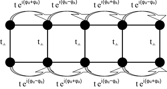 Figure 2. Sketch of the two-leg Hubbard ladder including spin-orbit couplings of thetype considered here