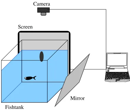 Fig. 2. Immersive VR setup for studying ﬁsh behavior [13]