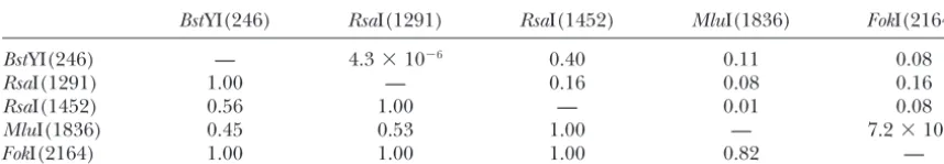 TABLE 3
