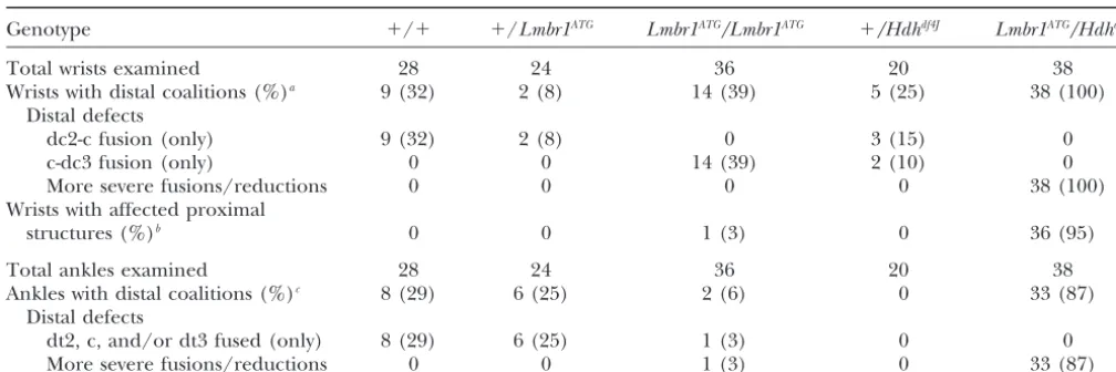 TABLE 2