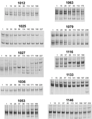 FIG. 2. Kinetics of V4/V5 envwere characterized by reverse transcription-PCR and HTA. As described for Fig