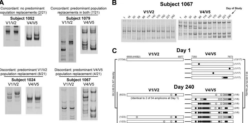 FIG. 4. Lack of correlation by three different quantitative measures of V1/V2 and V4/V5 population change