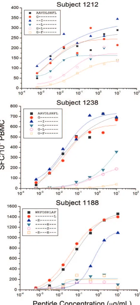 FIG. 3. Characterization of the T-cell responses to epitope variantsAL9/B62 in subject 1212 (top panel), AL9/Cw08 in subject 1238 (mid-