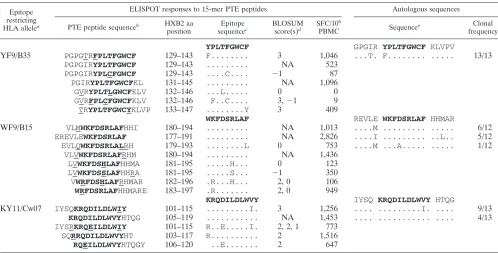 TABLE 3. T-cell recognition of PTE peptide variants and the sequence of autologous viruses in subject 1188
