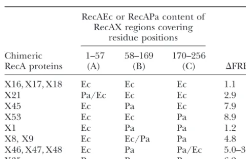 TABLE 2